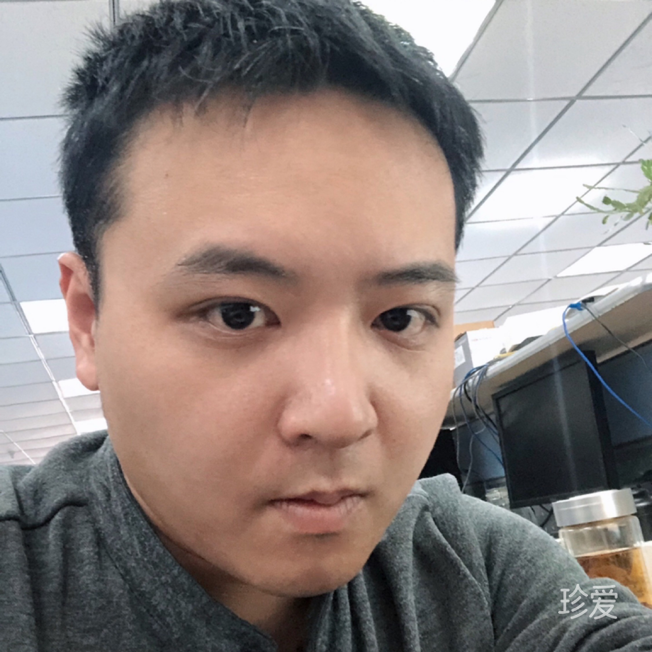 白桦