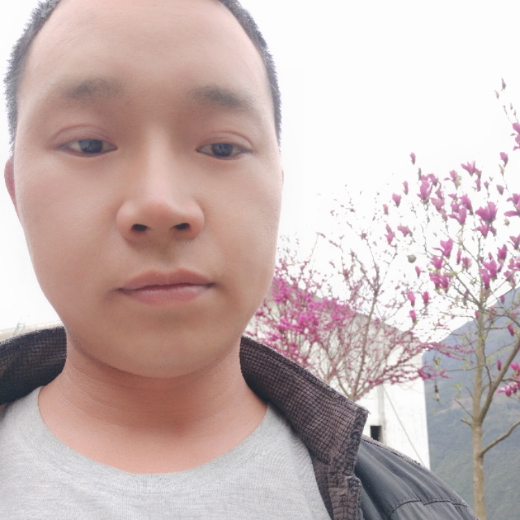 找个伴一起度过