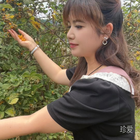 獨(dú)自漫步的貓