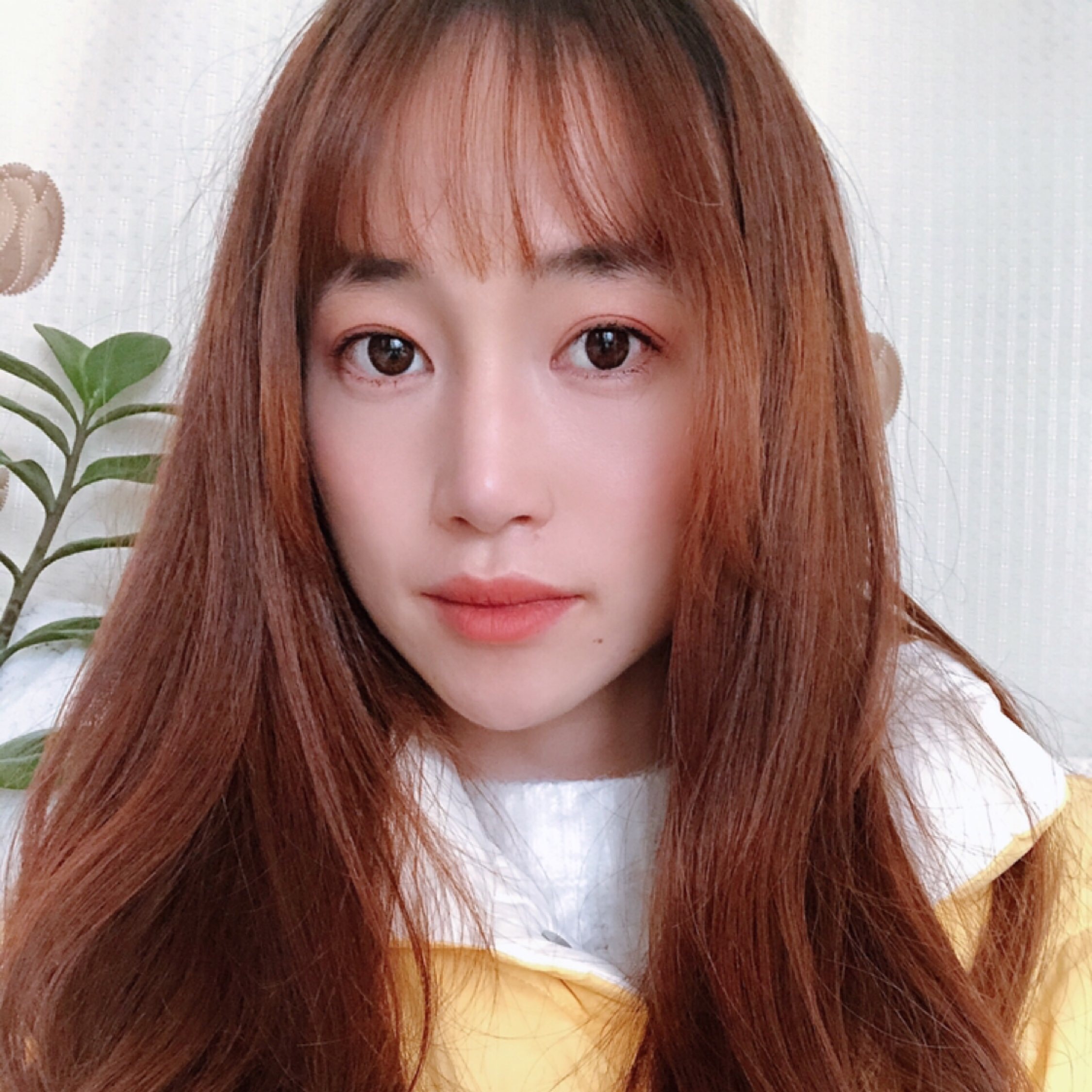 阿司匹林下的玫瑰