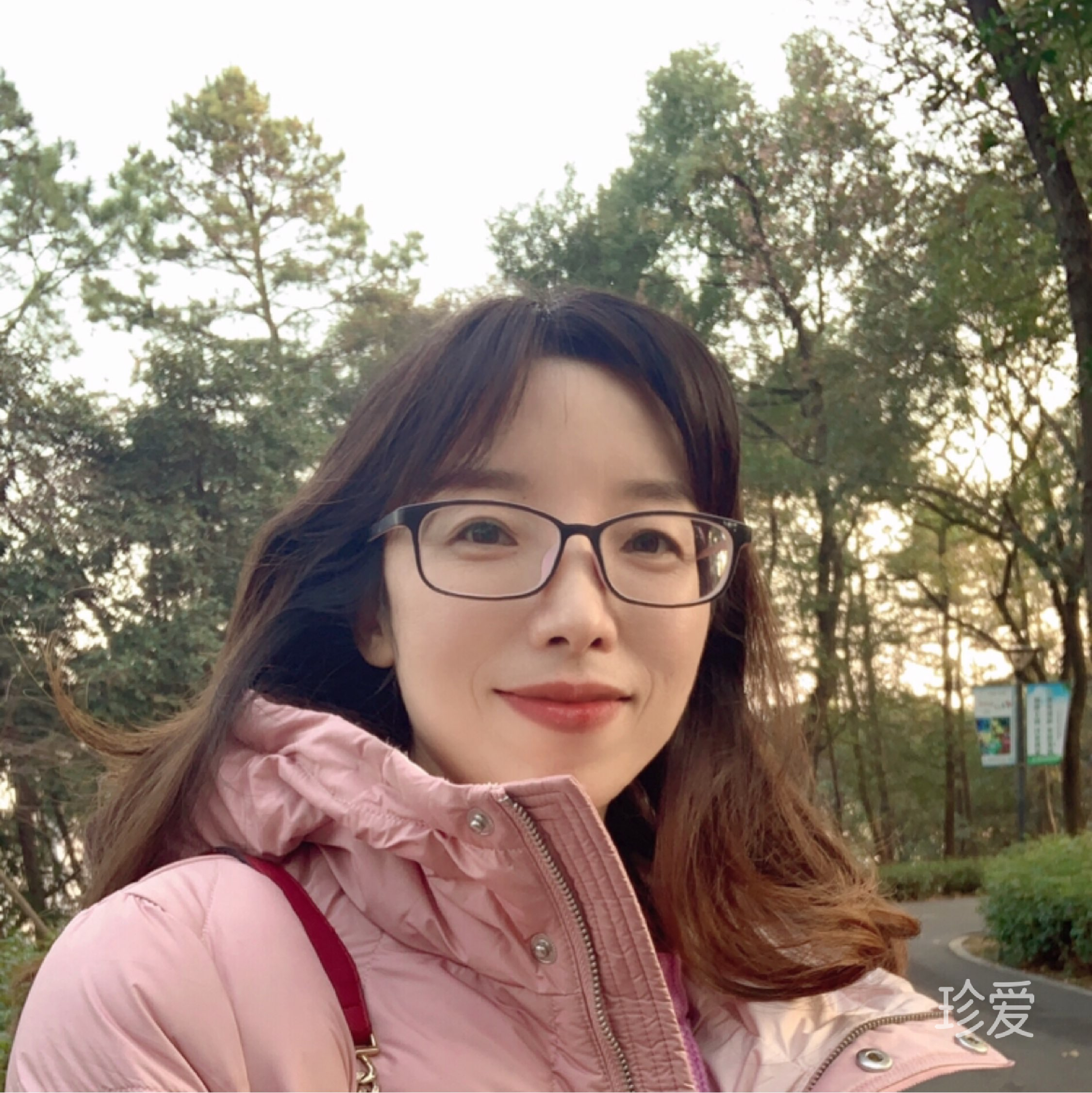 小王子与玫瑰花