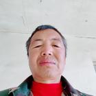 真成善待