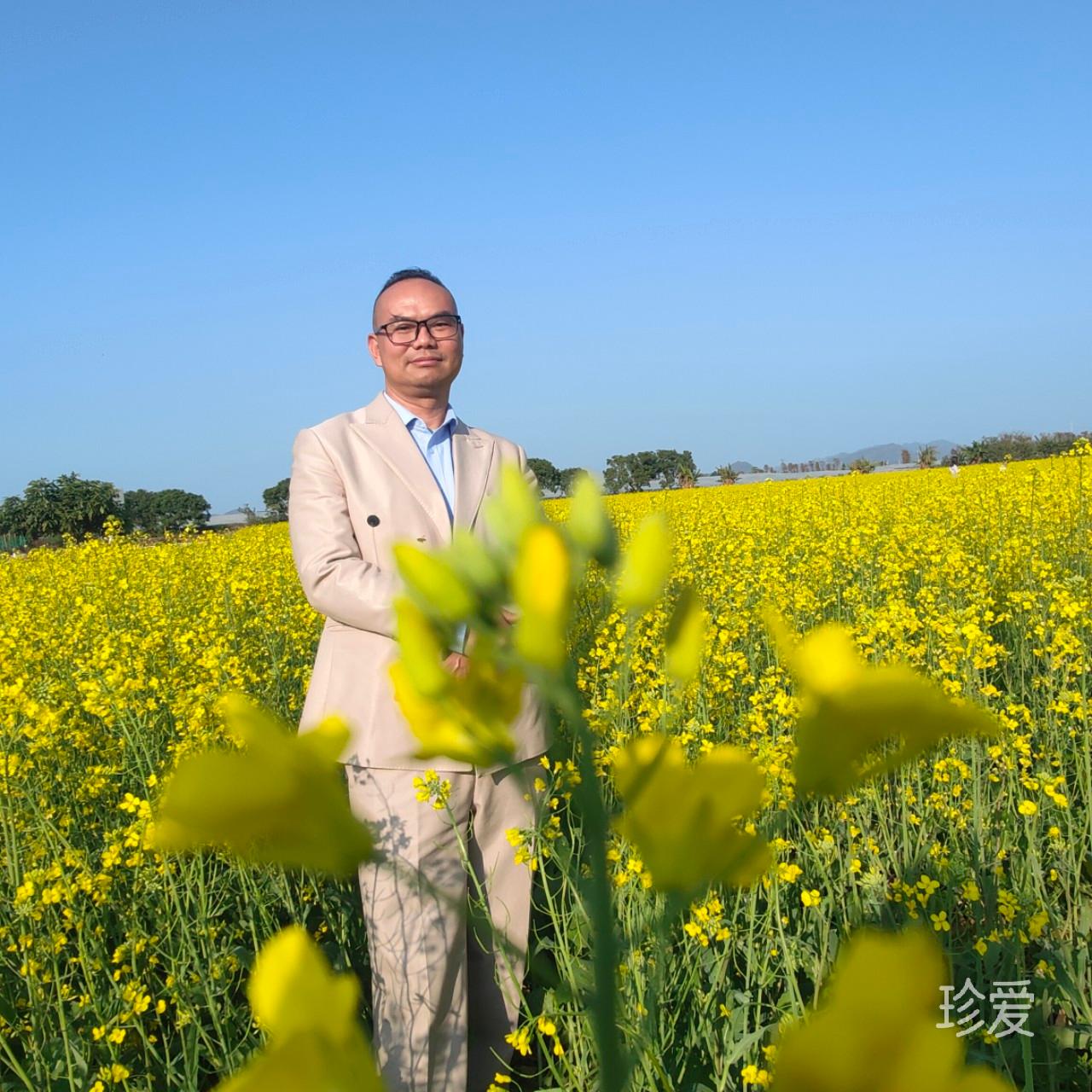 只爱你相伴变老