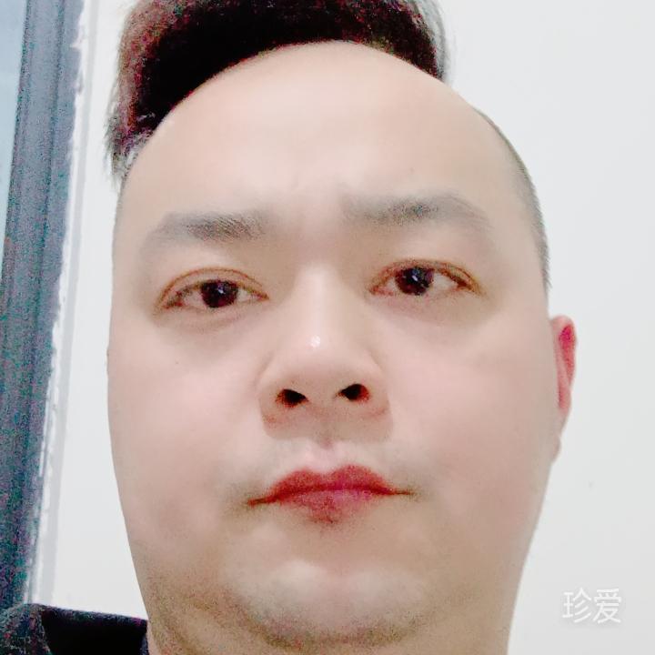 不采花的小蜜蜂