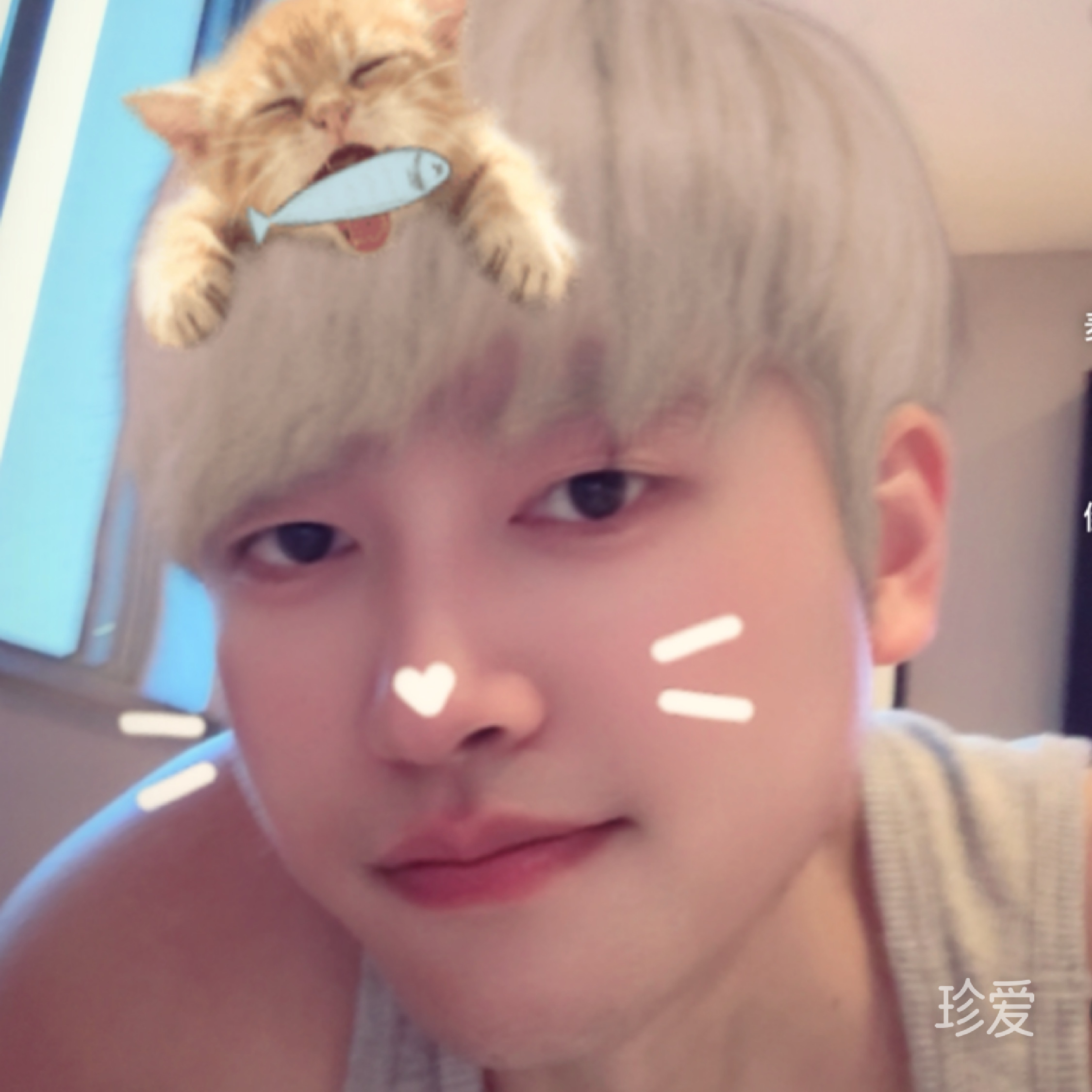 爱你不是假如