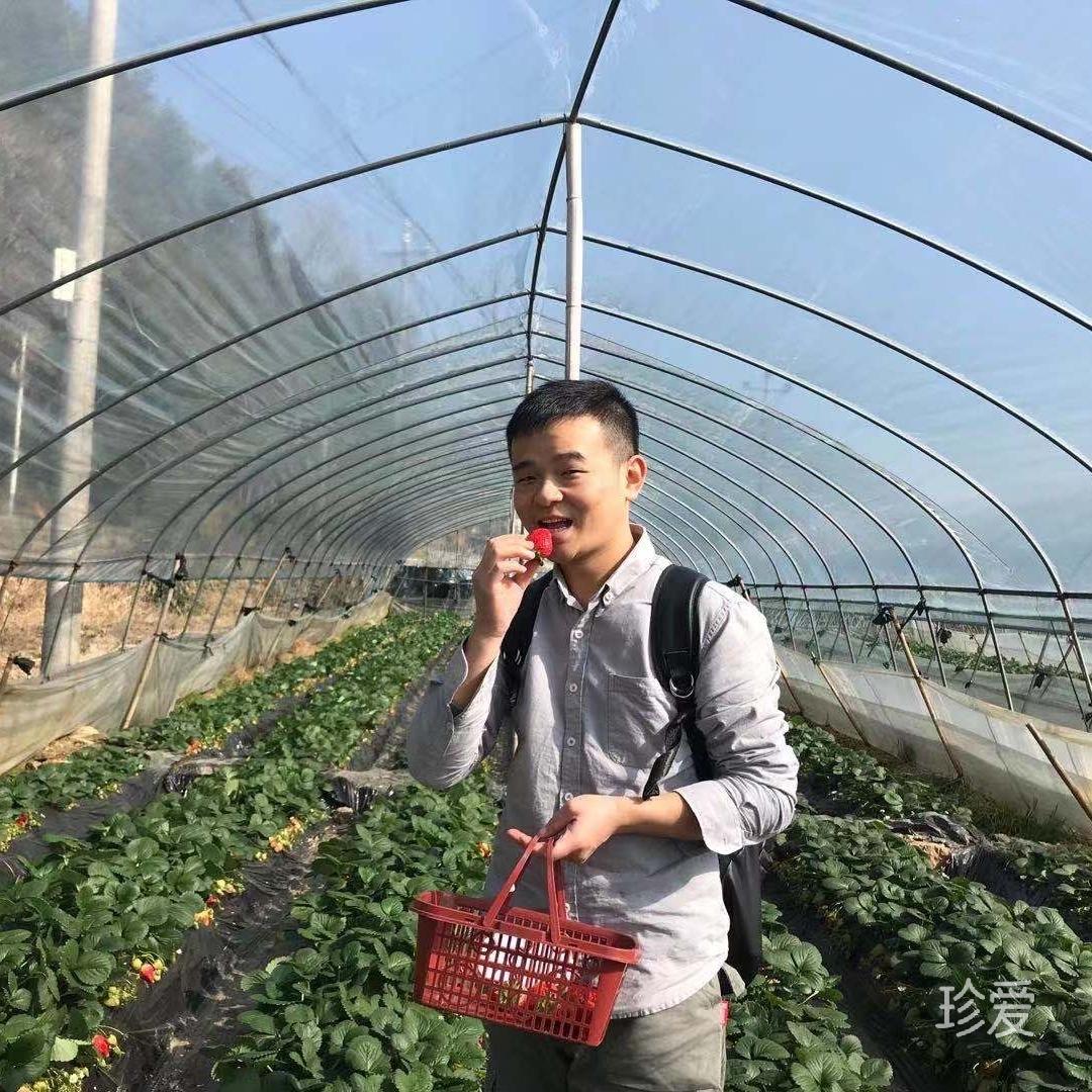 无所不知的治疗