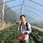 無所不知的治療