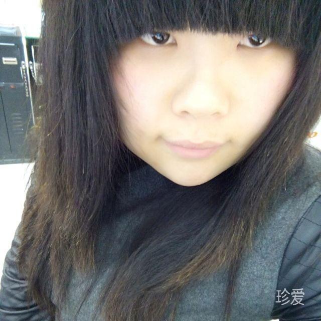 海边飞燕