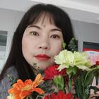 梅魅