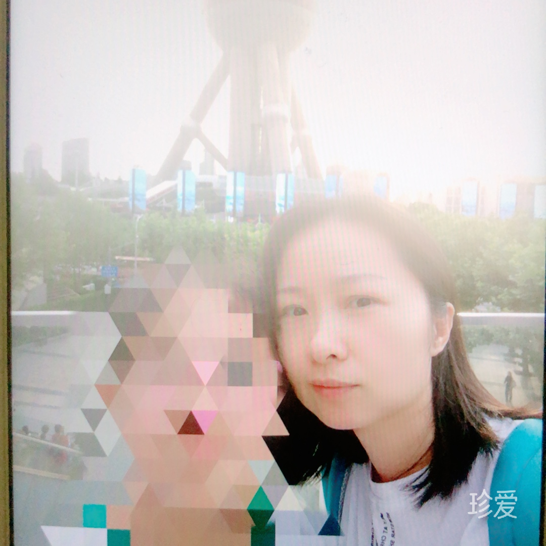 凤凰于飞