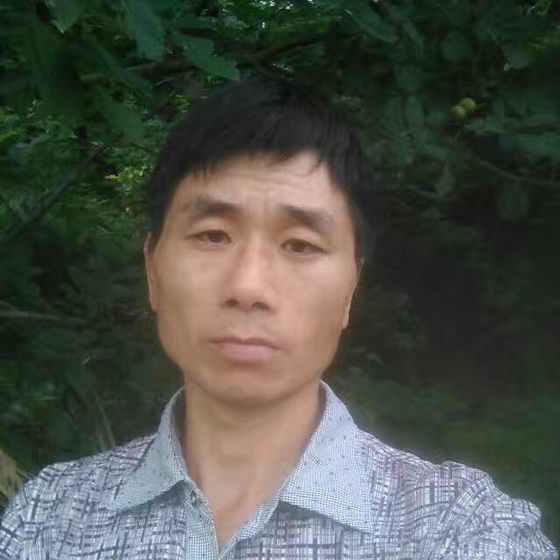 秋風不懂落葉情