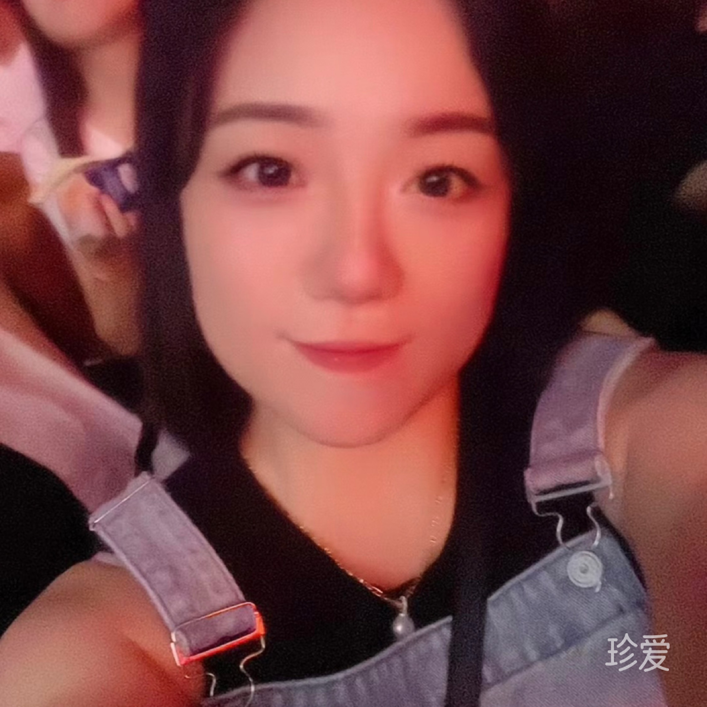 阳光的白狐
