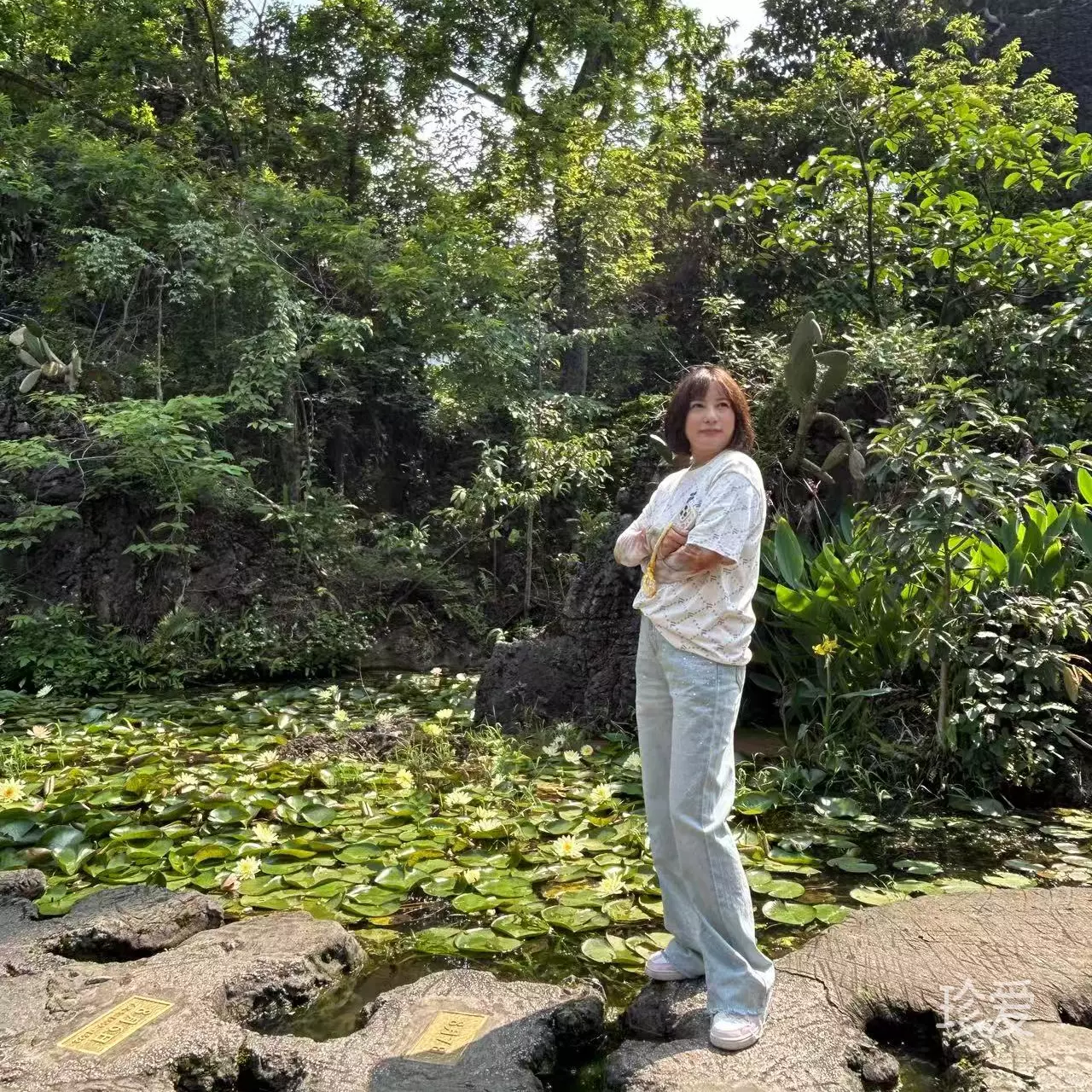 Auri静待相识