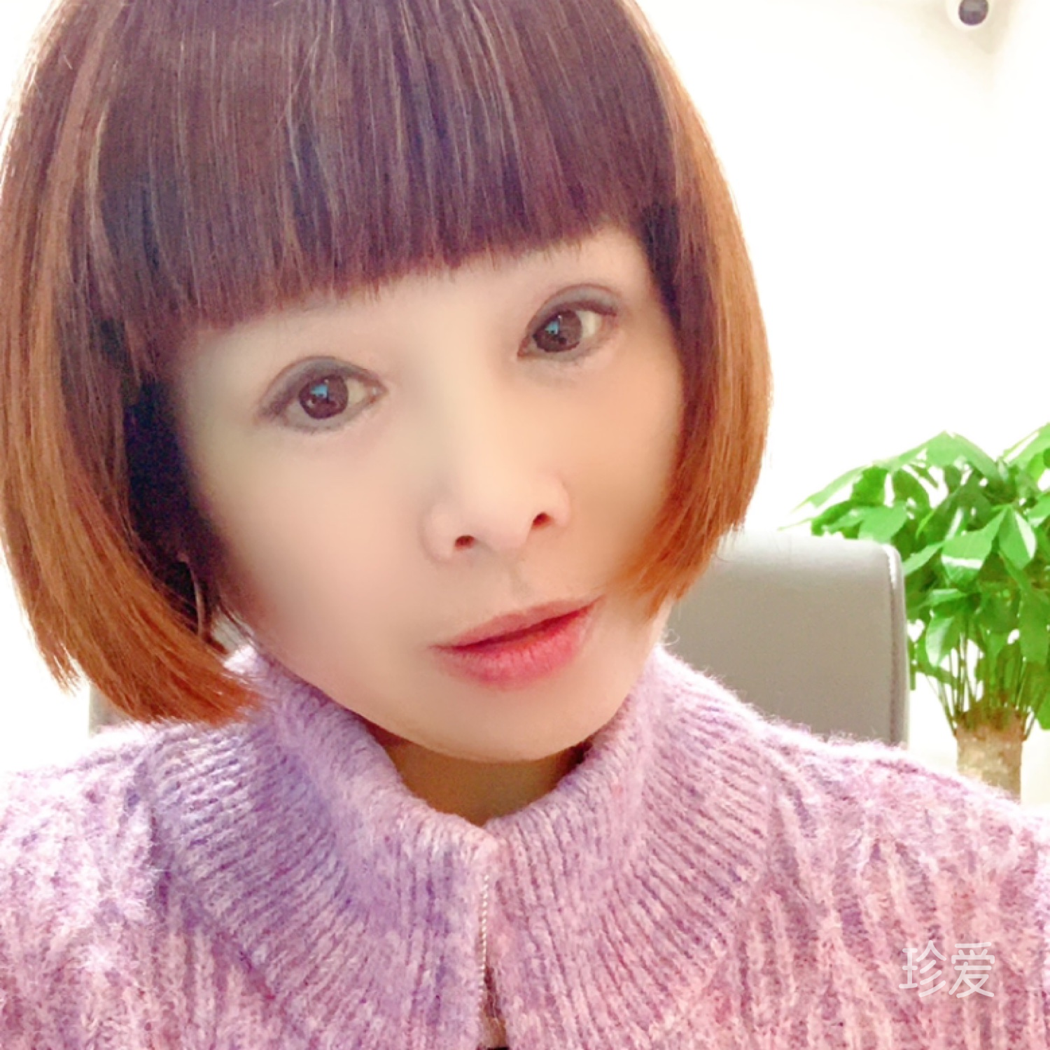 子燕