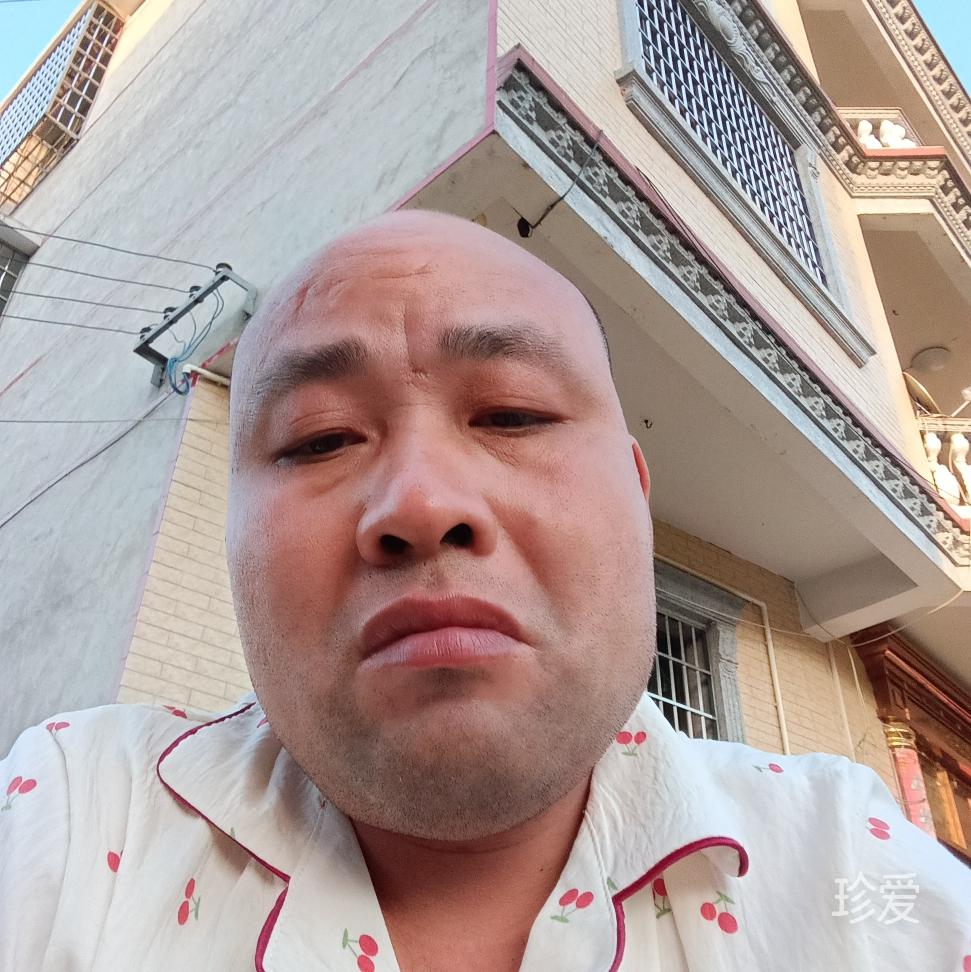 达波