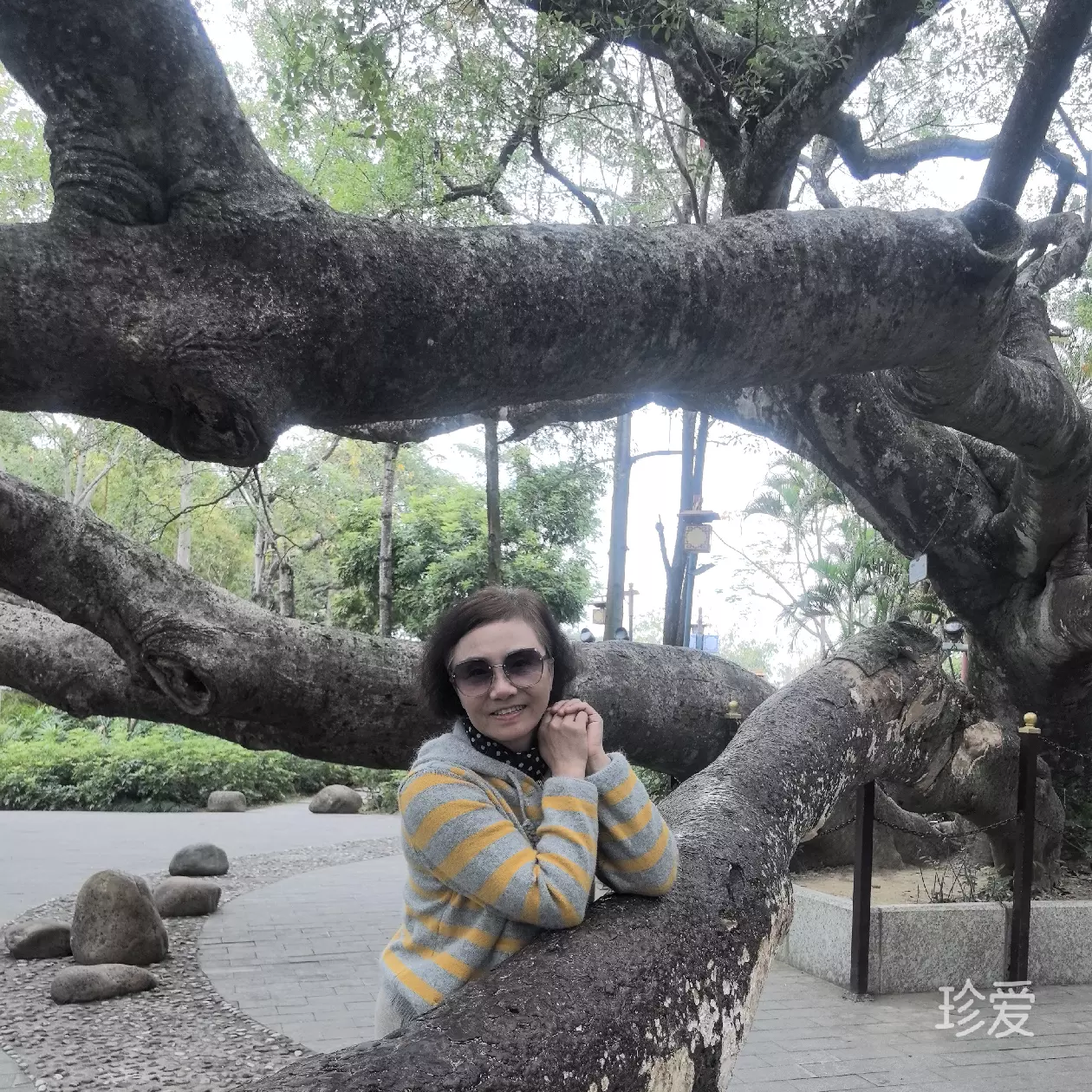 做梦的丑小鸭