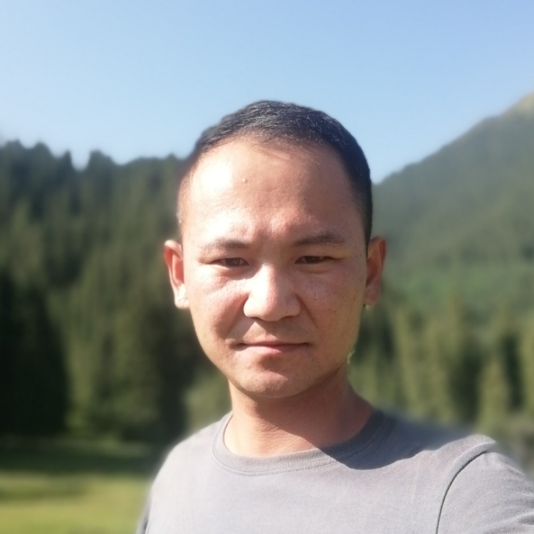 似曾相识燕归来