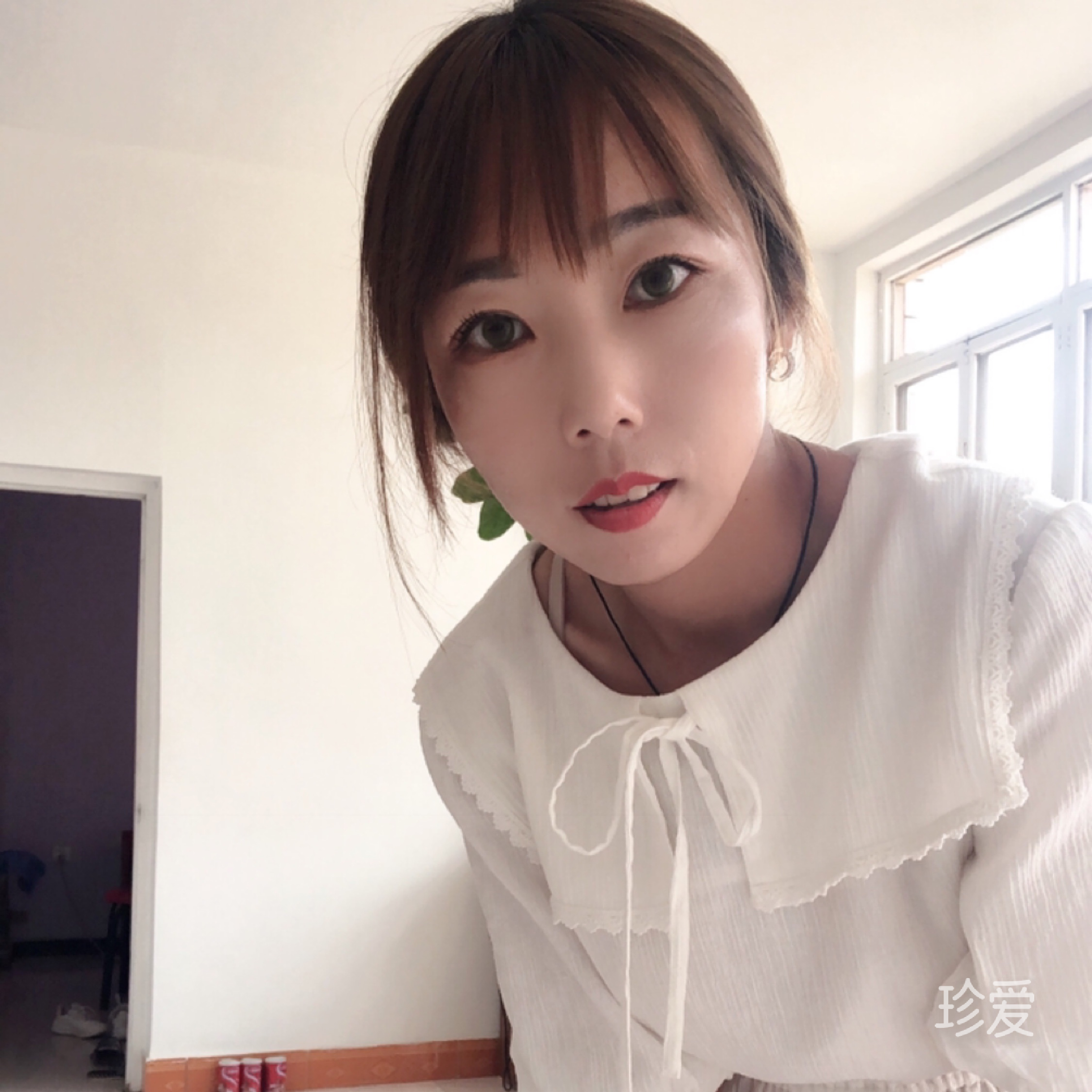 寻找翅膀的蜗妞