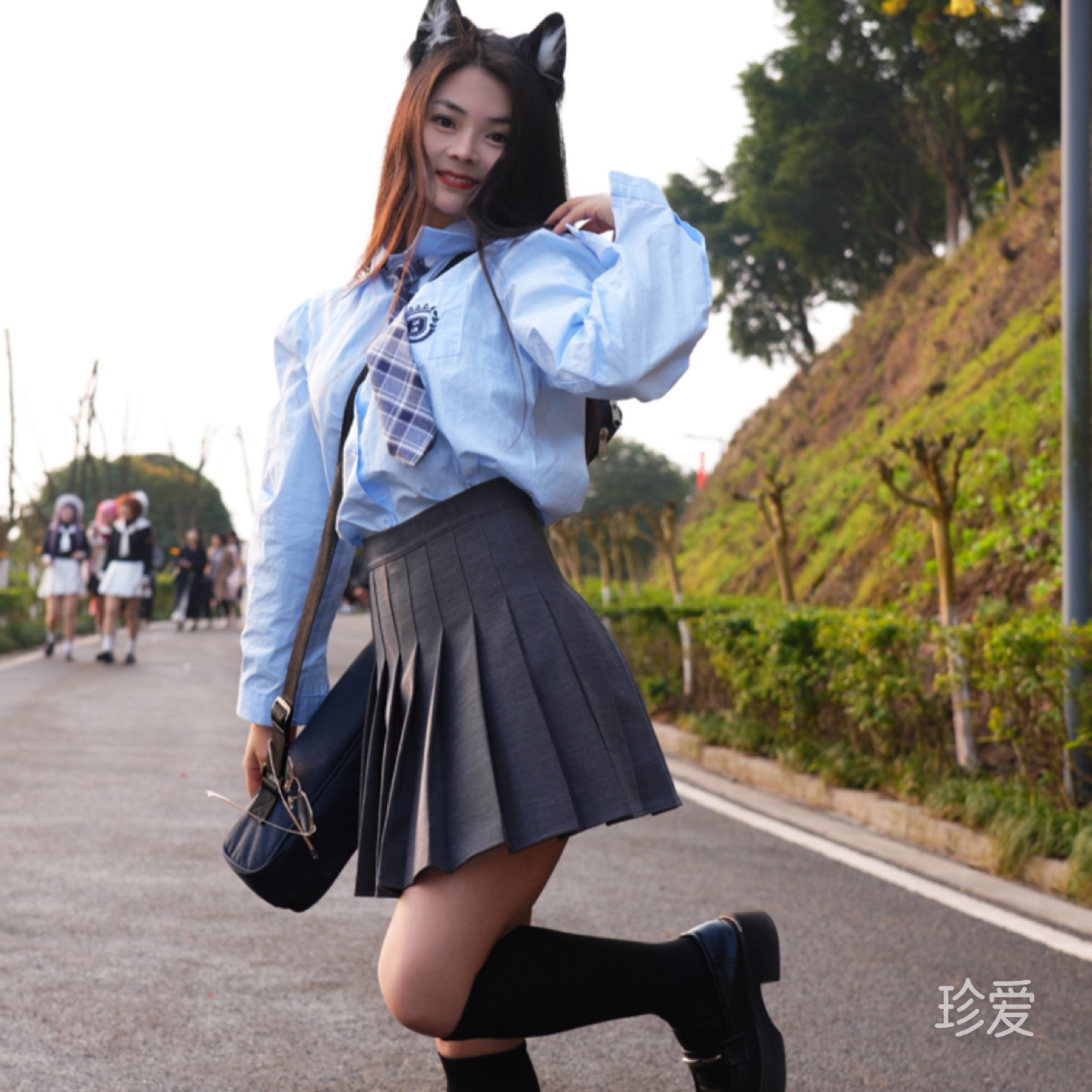 一束白茶