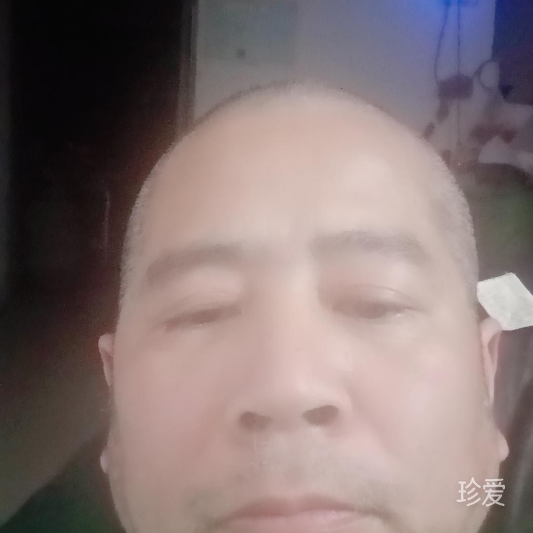 昨夜微凉