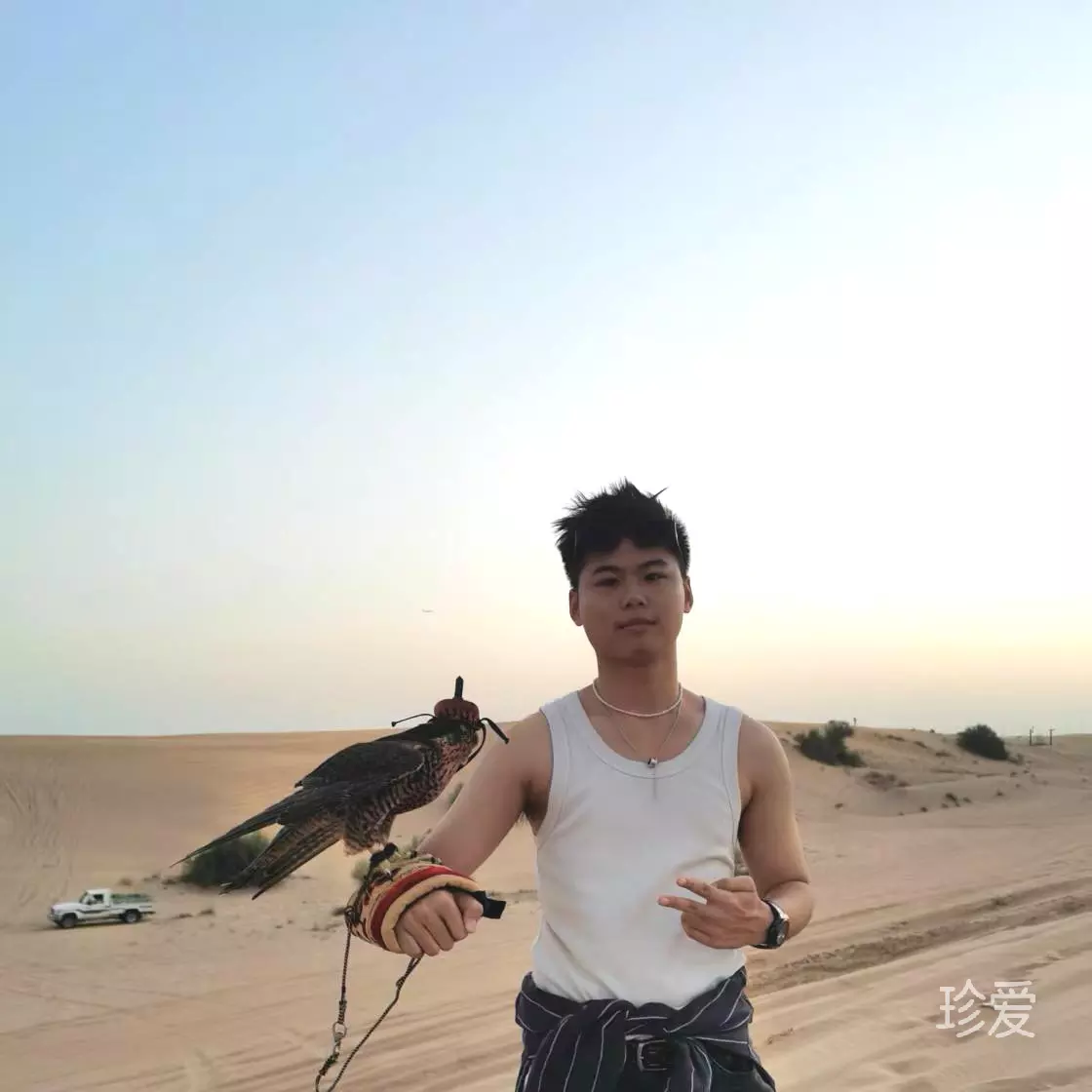 阳光灿烂