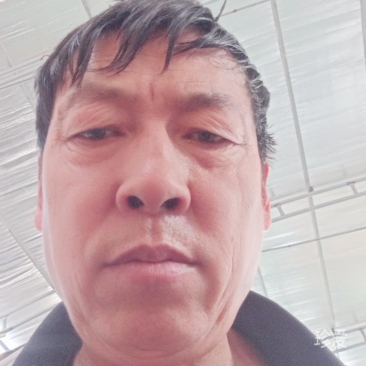 平淡而平凡