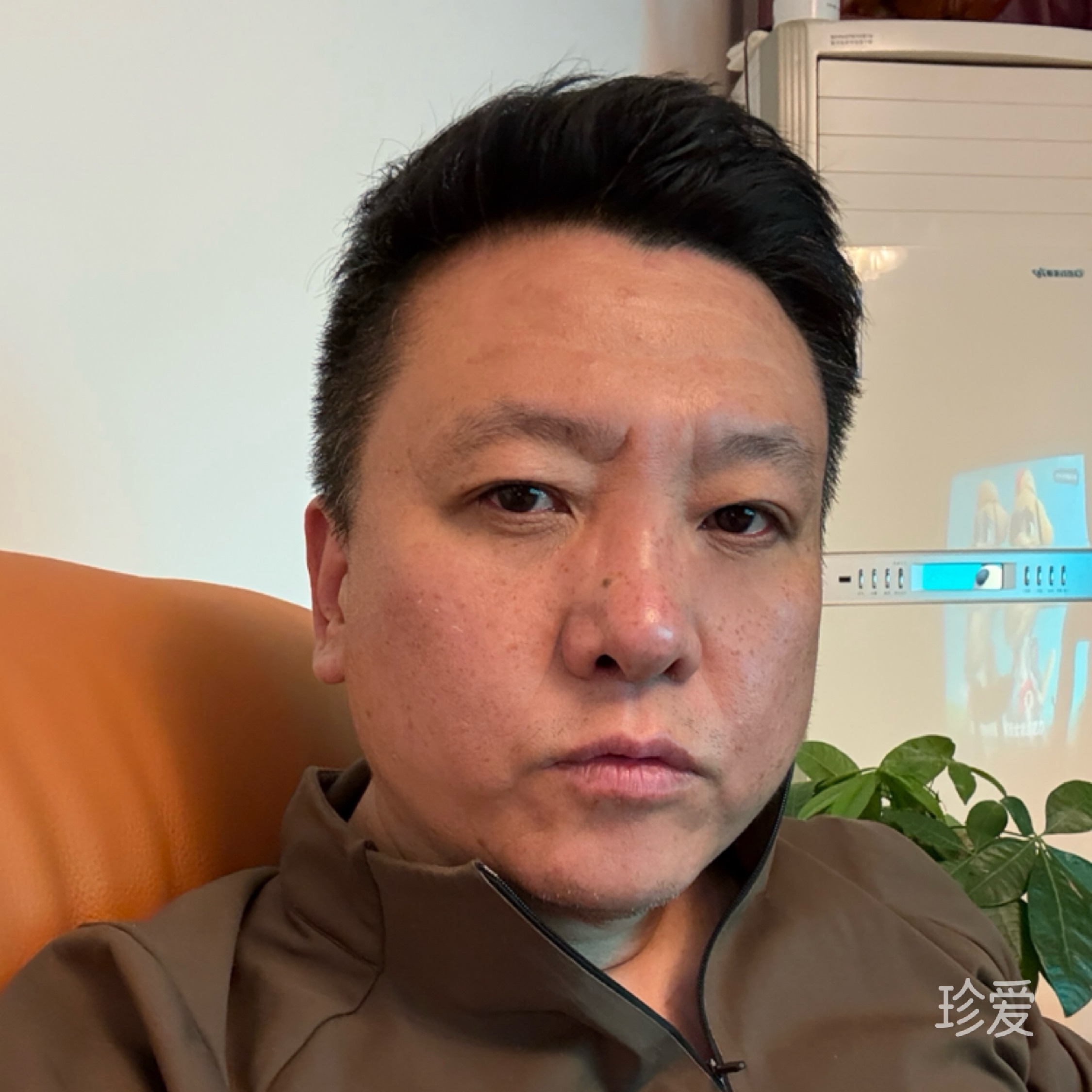飞羽