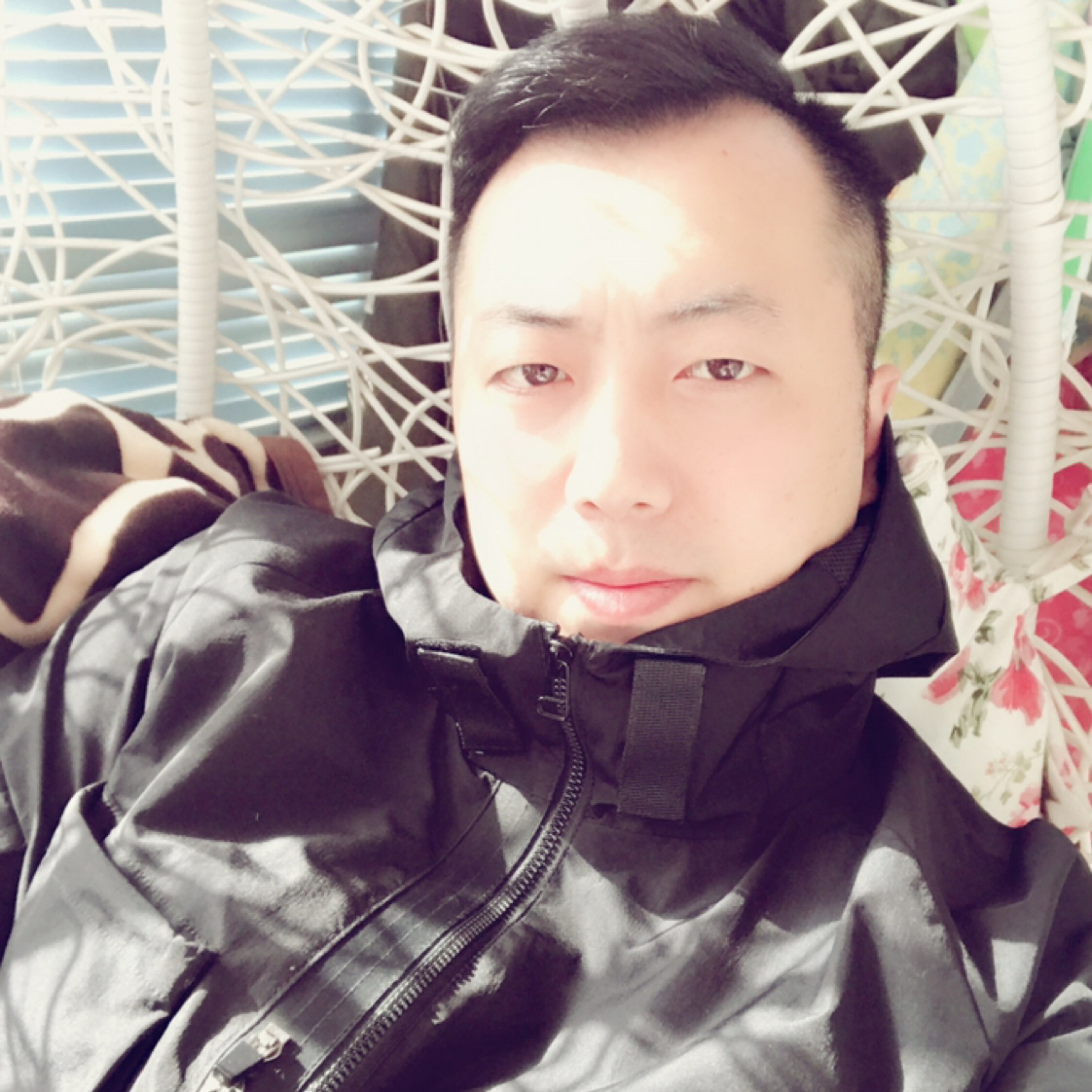 哈里的梦想