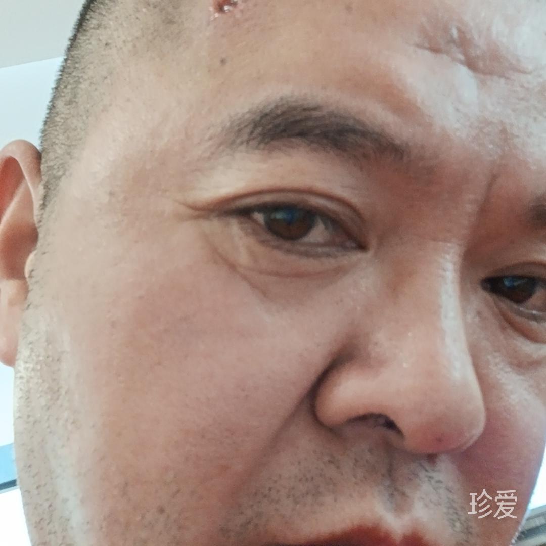 琴剑
