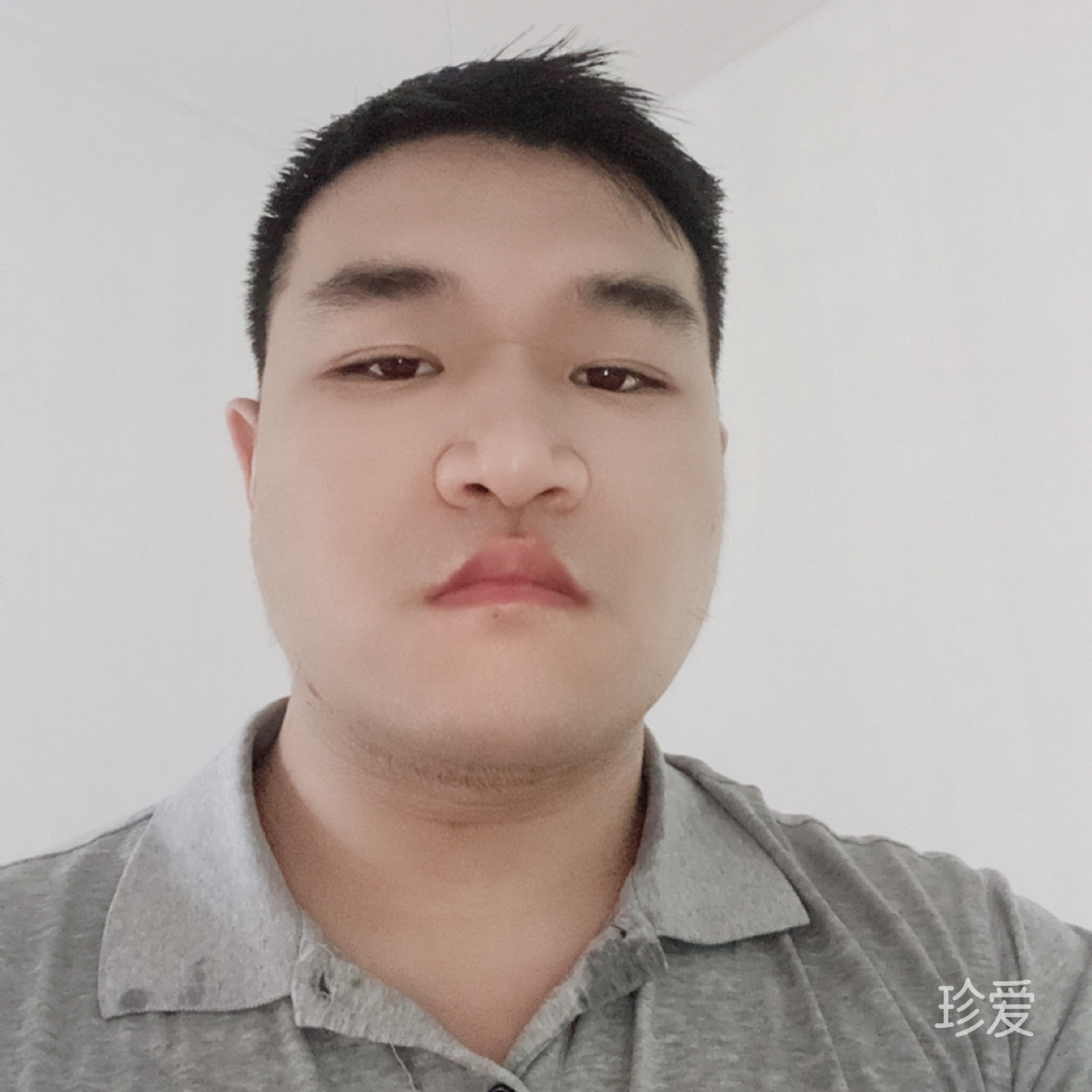 老杨
