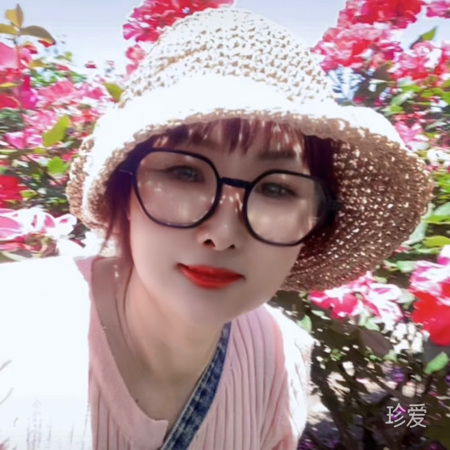 守望爱的天使