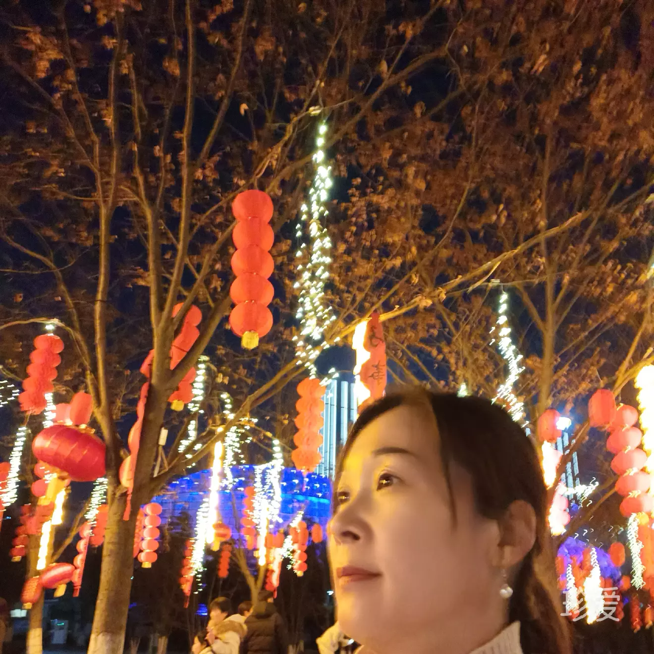 可爱的小猫