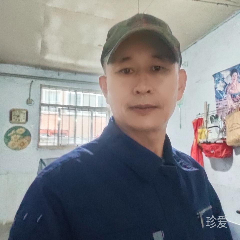 倔强的灰狼