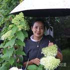 新的安排