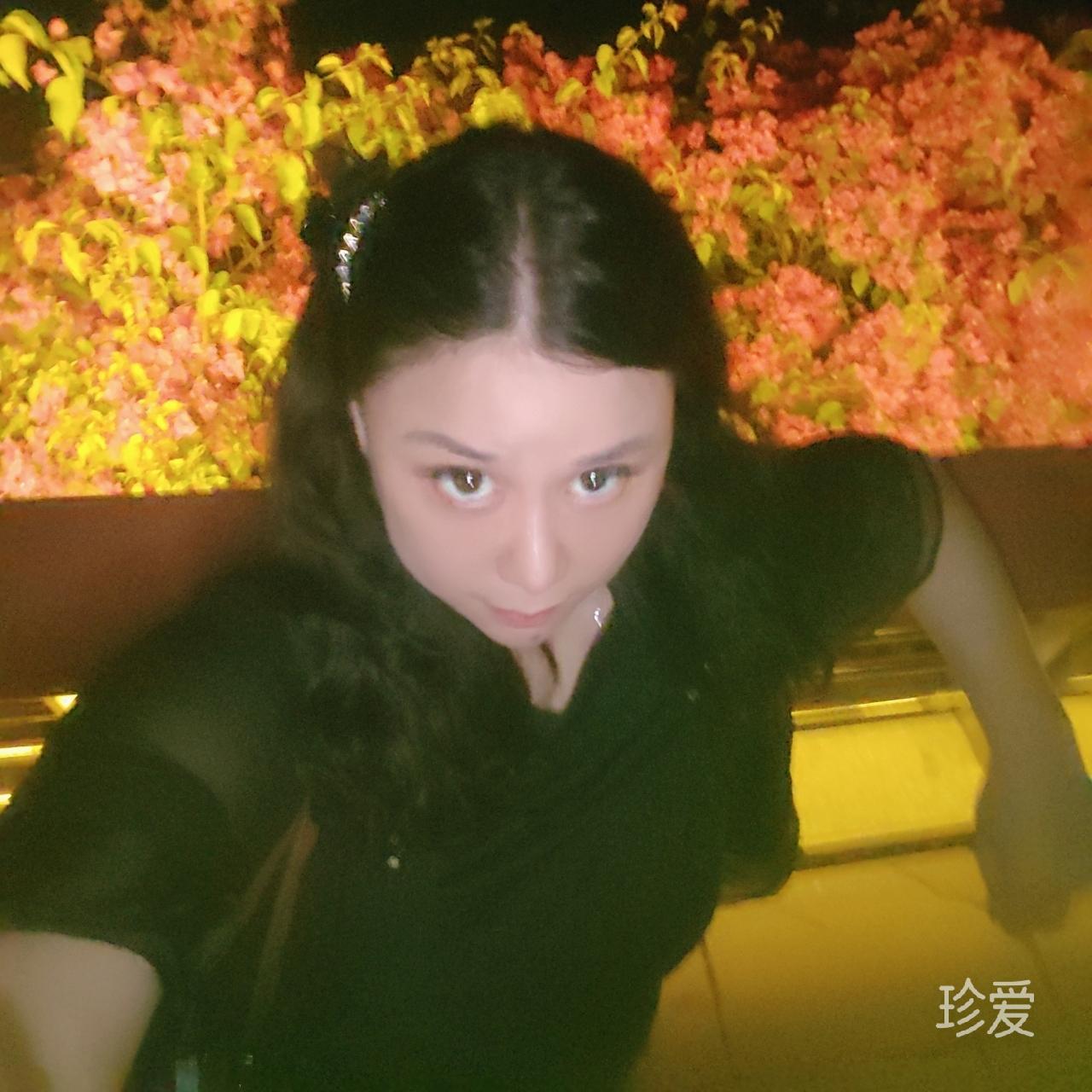 雪中的梅