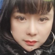 雪中的梅