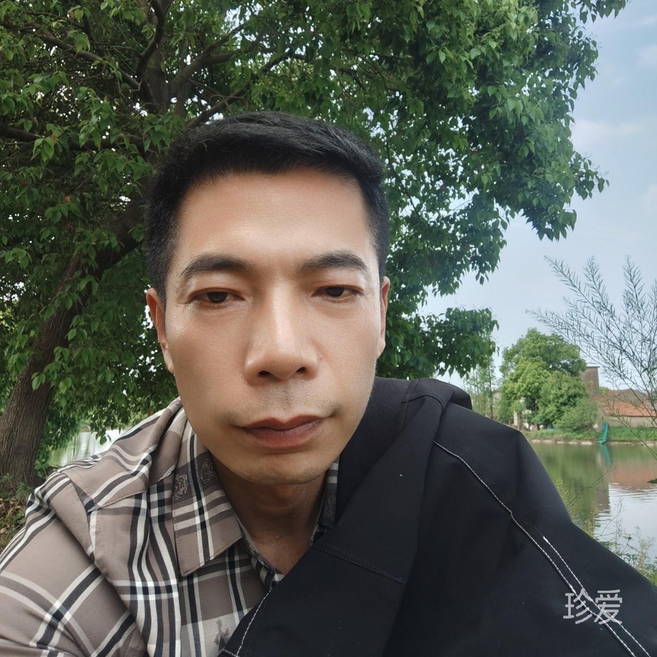 沉飞