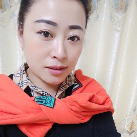 風(fēng)中的向日葵