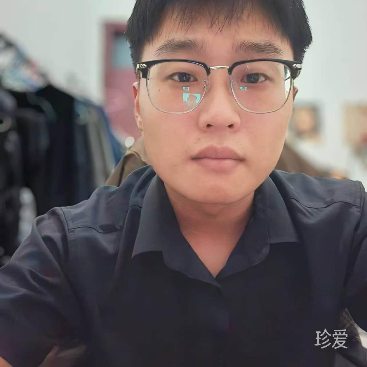 海滩上的长颈鹿