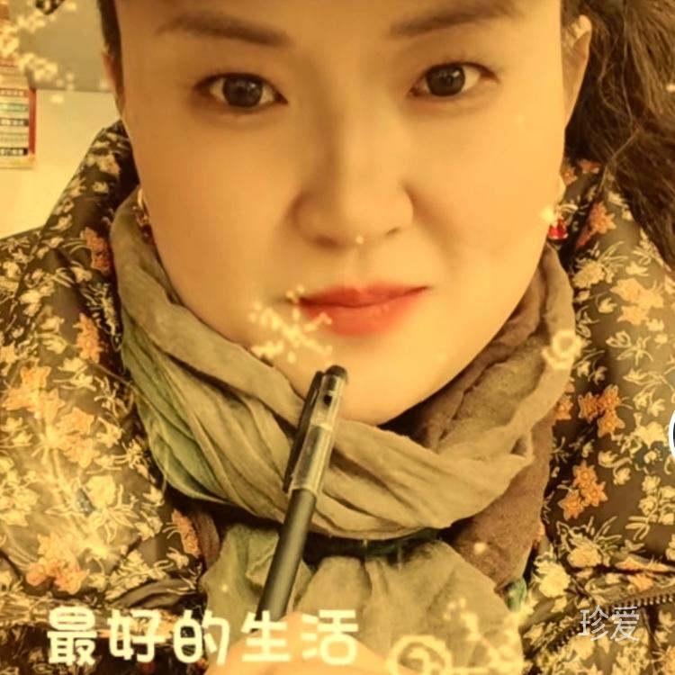 陽(yáng)光和森林