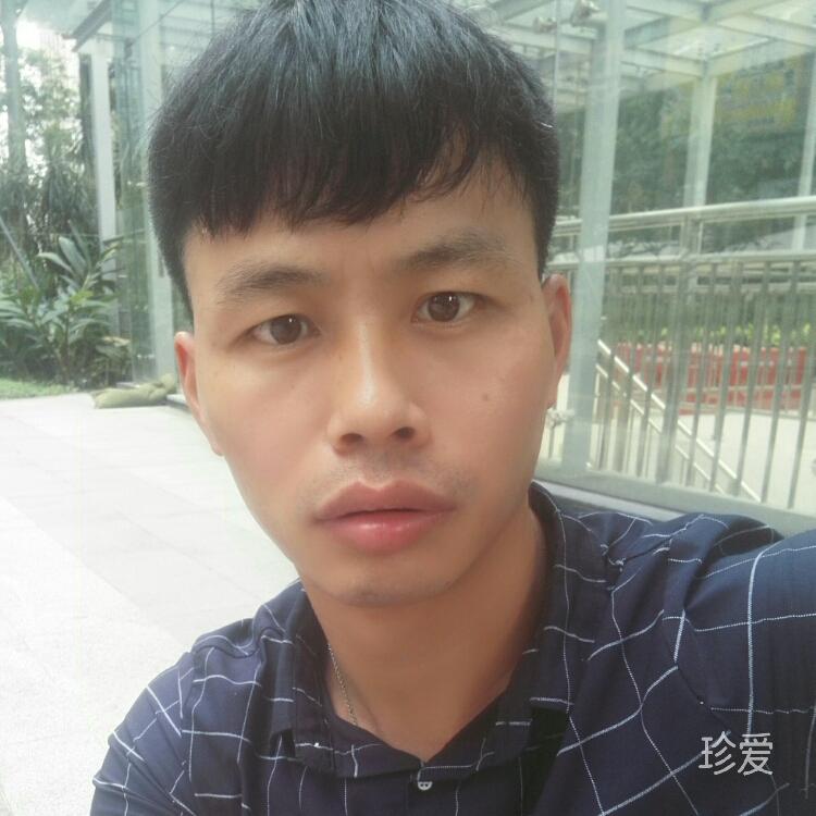 小綿羊?qū)ふ蚁眿D