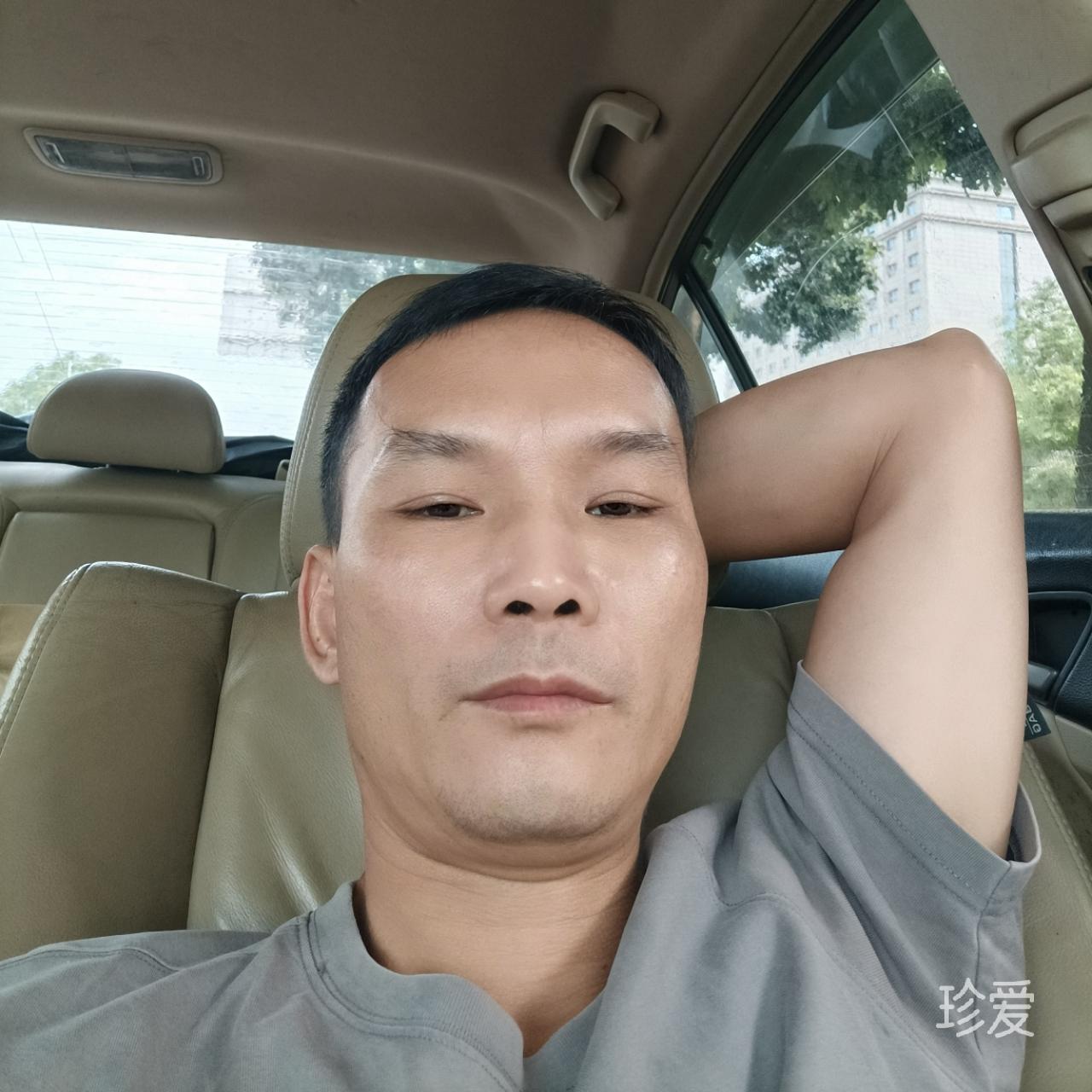 丛林归鸟