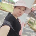 奮進(jìn)的螞蟻