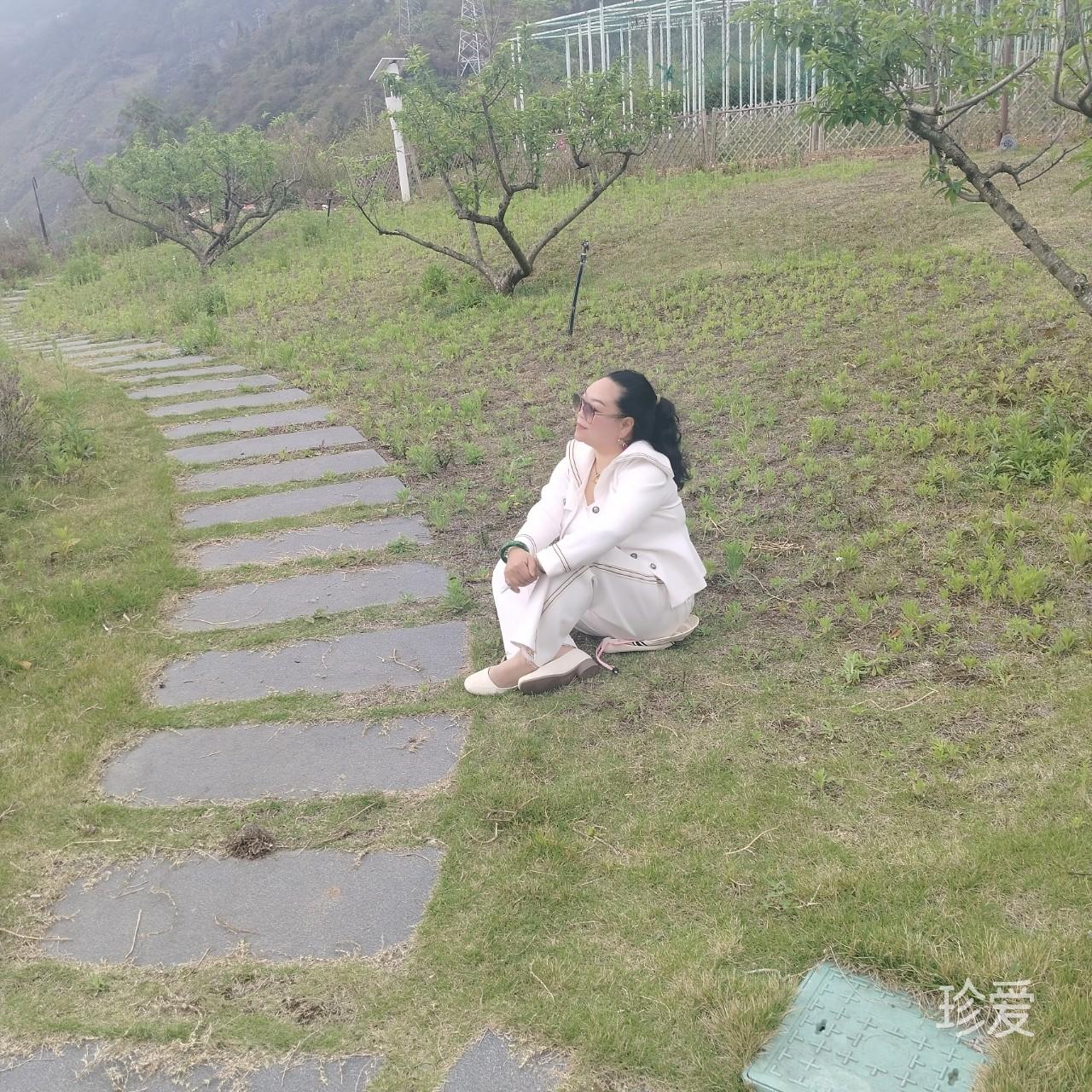 风起经年