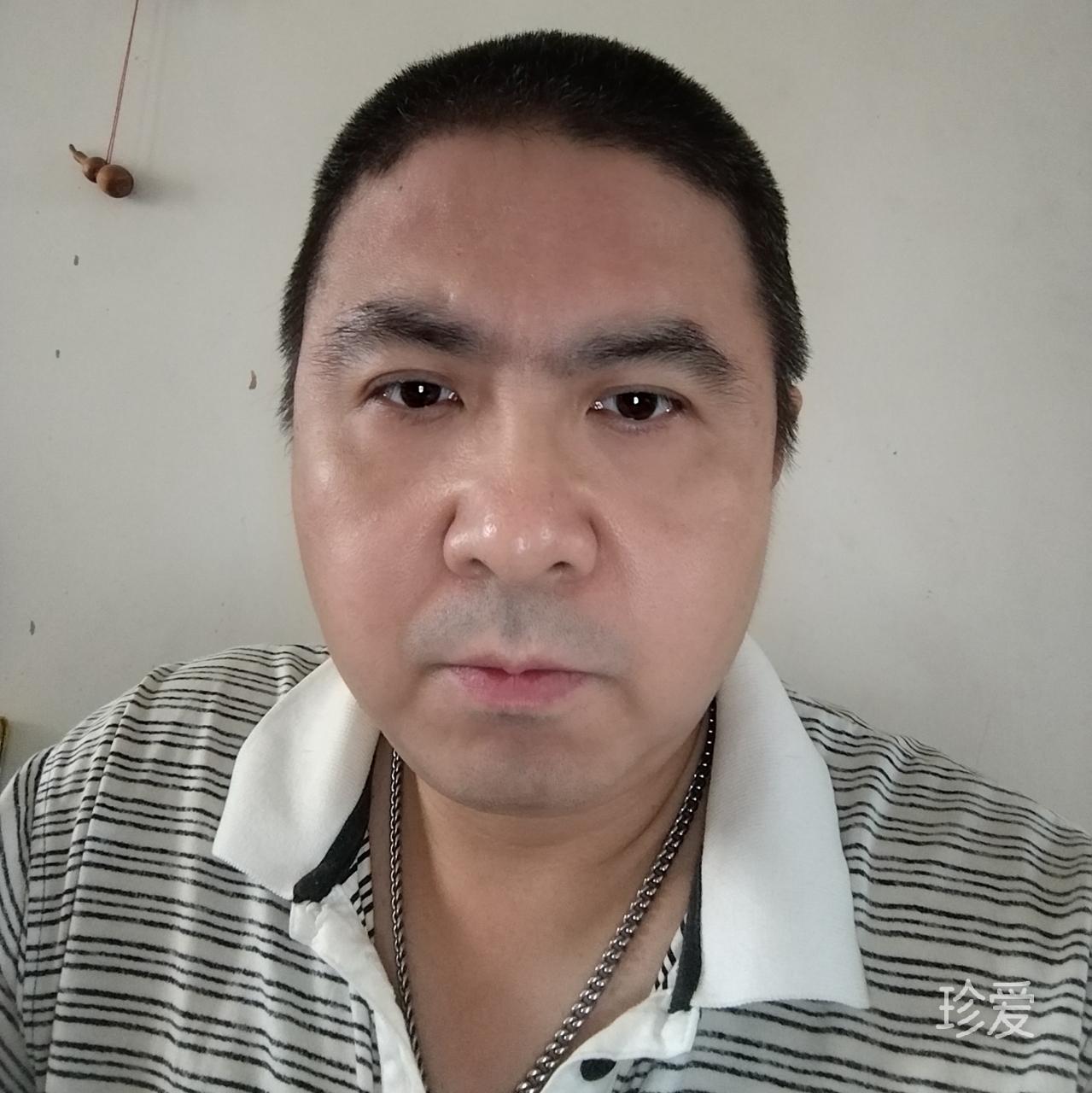 为爱奔走的蒲公英