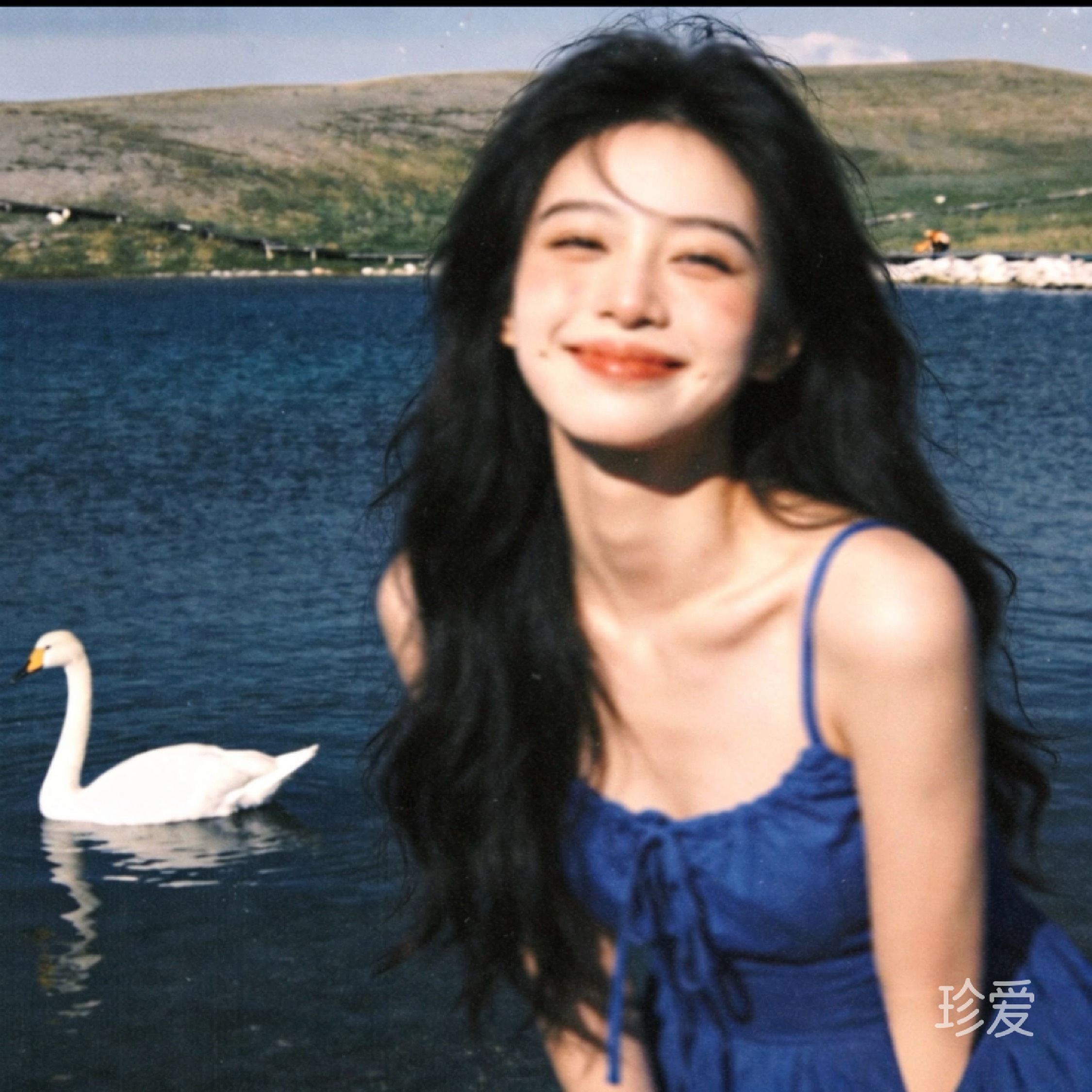 韶如云