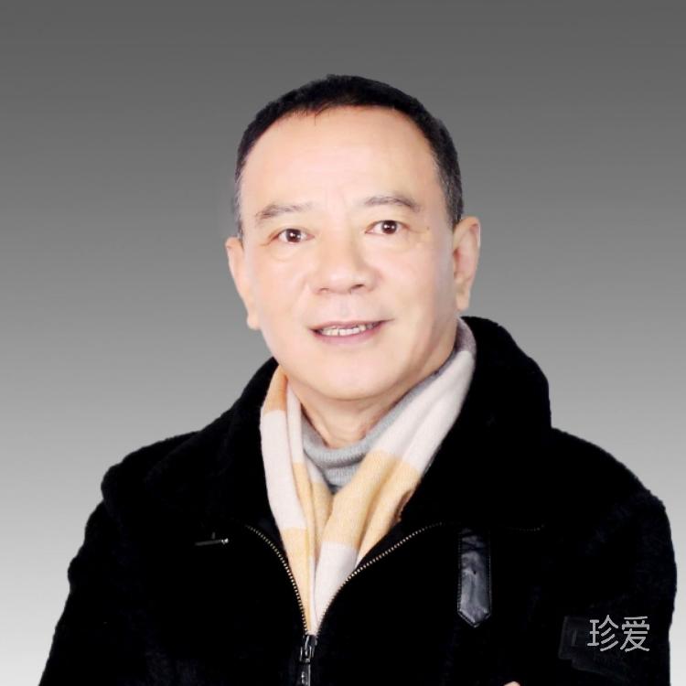 肆放的年华