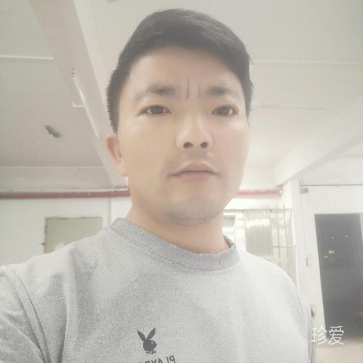 白天不懂夜的黑