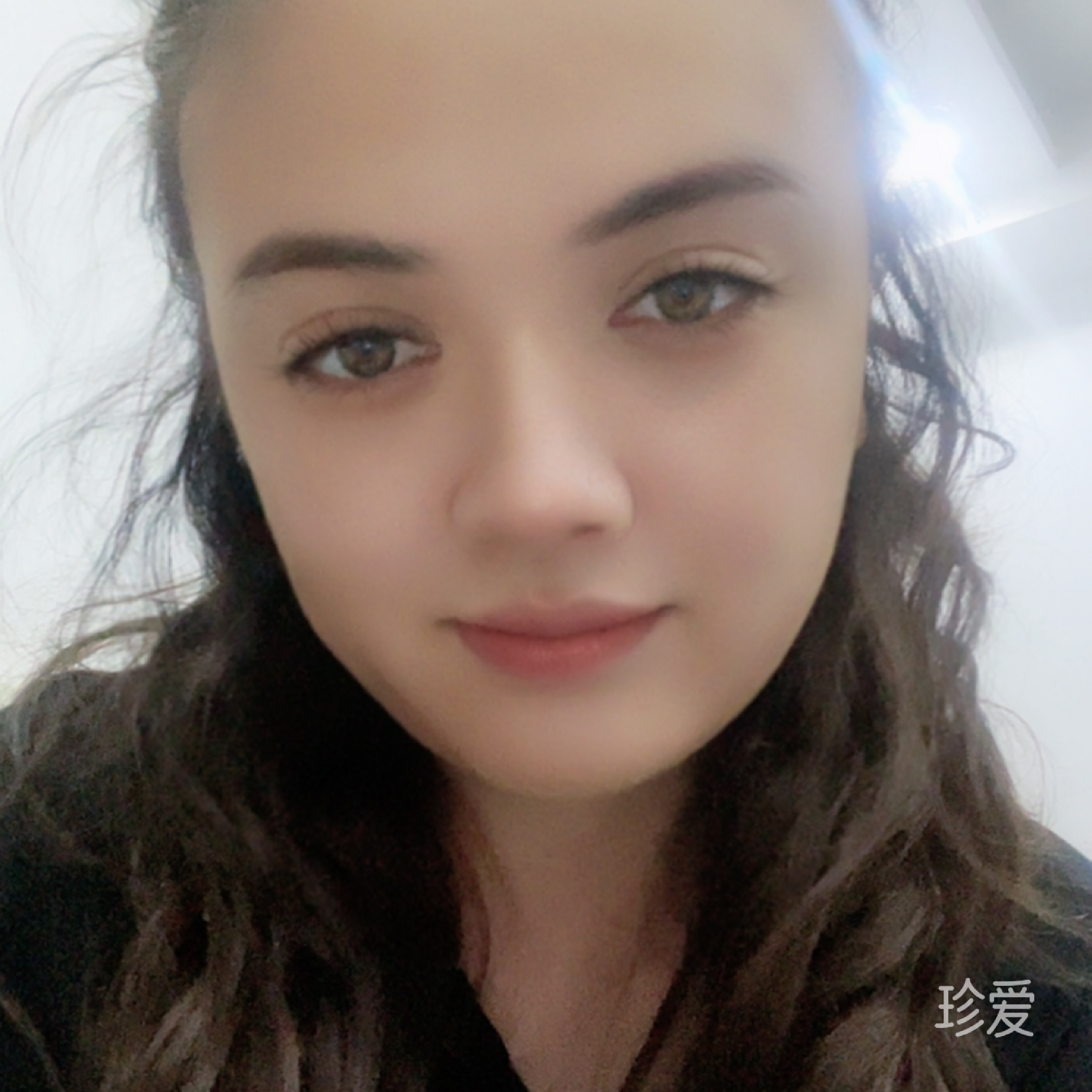 我是一只小小鳥