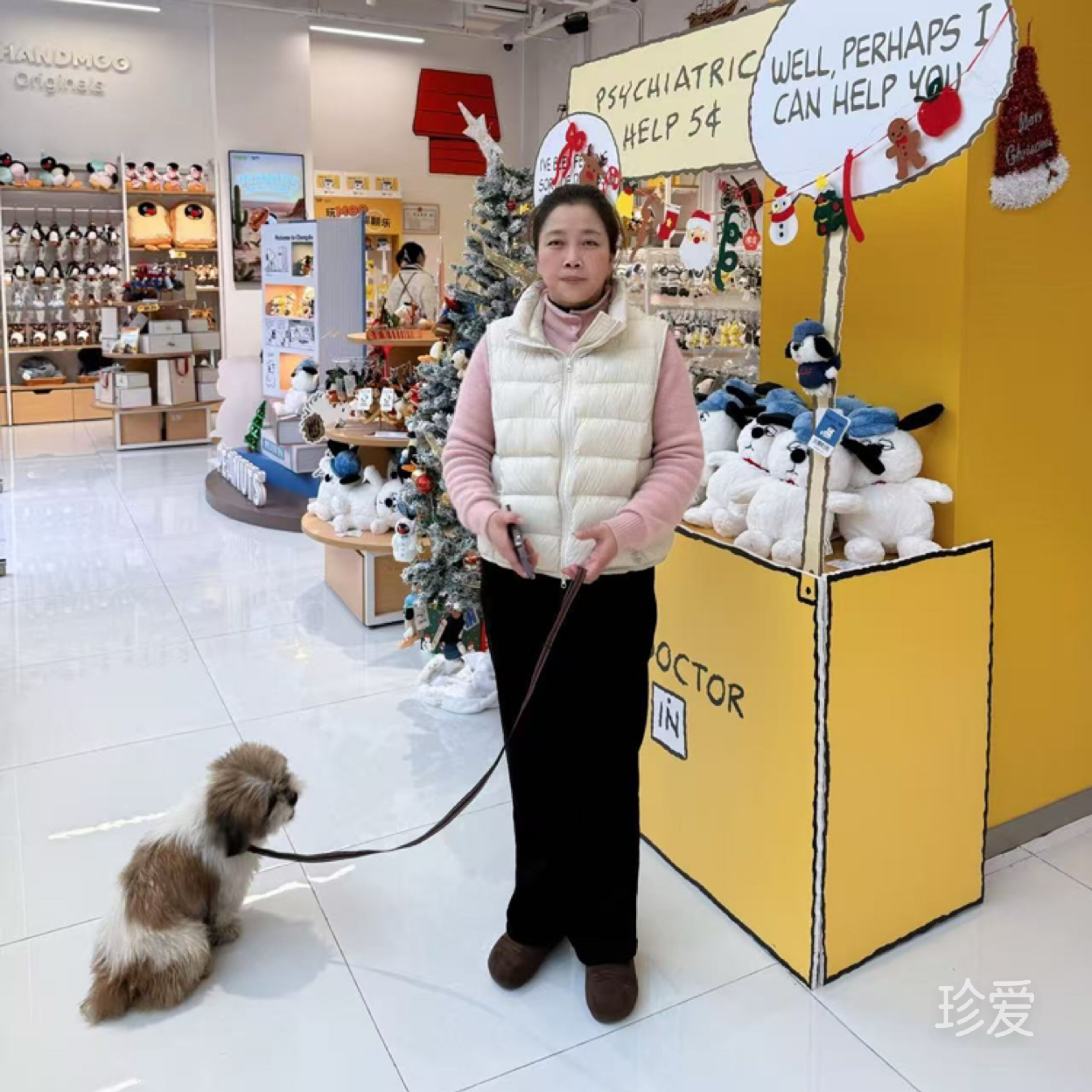 芝麻未来